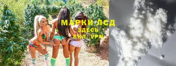 стаф Вязники