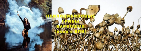 стаф Вязники