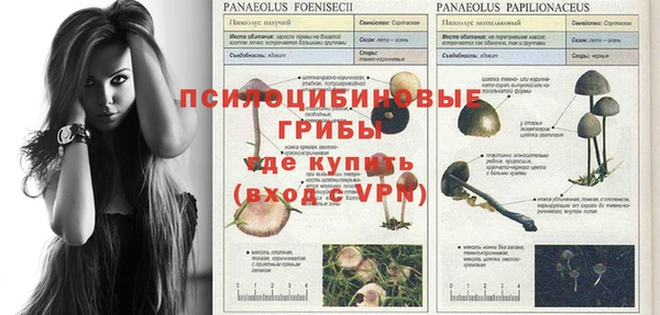 круглые Вяземский